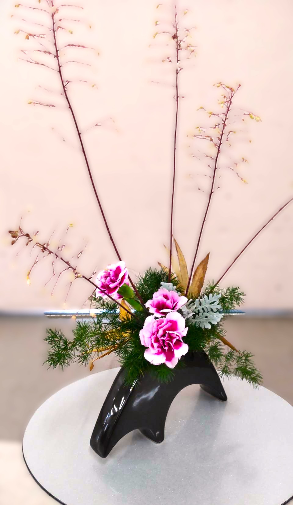 ヒューケラ.カーネーション.やぶれがさ.ミリオグラタス.白タエ菊