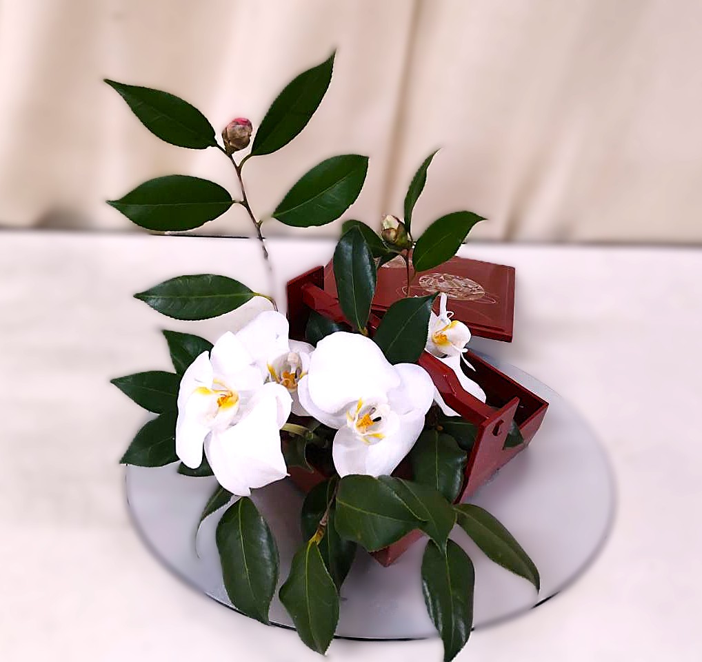 ../common/img/news/椿