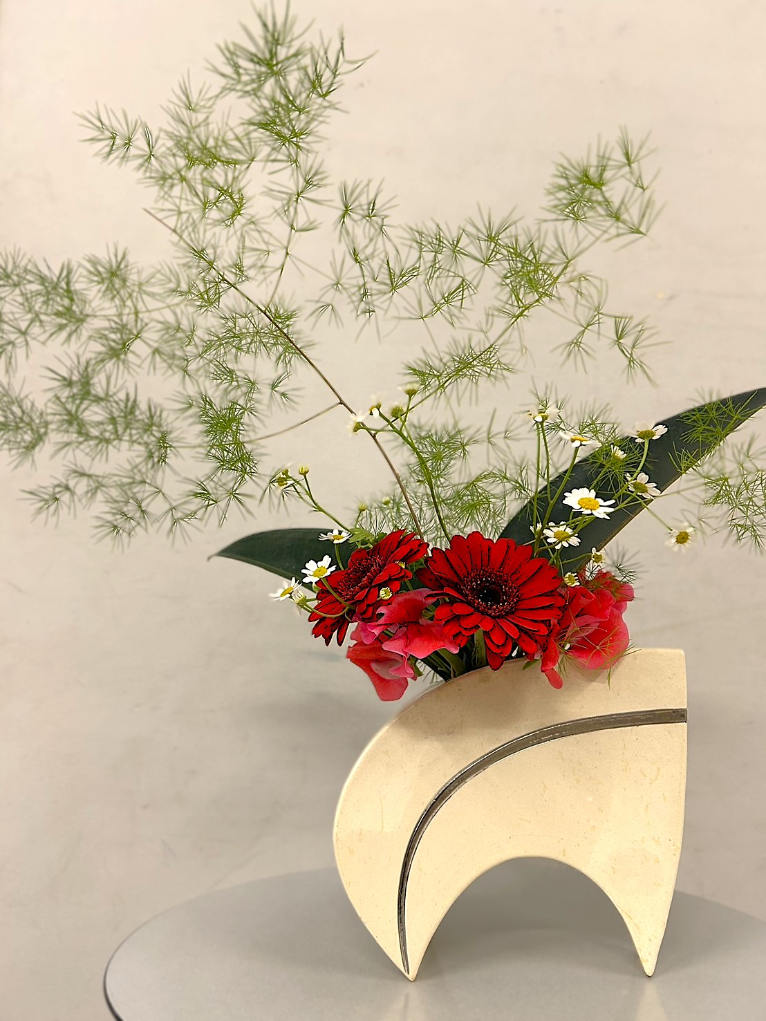 ../common/img/news/ガーベラ