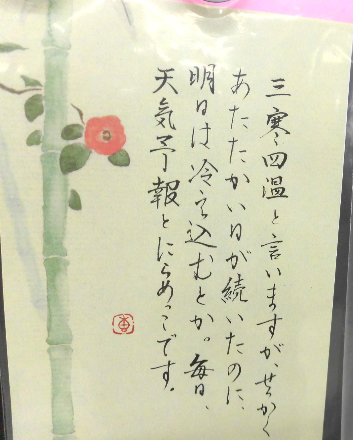 季節の移り変わりが美しい