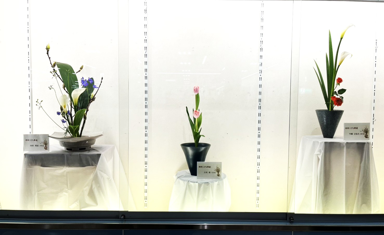 ../common/img/news/講座の詳細は画像をクリック　↑