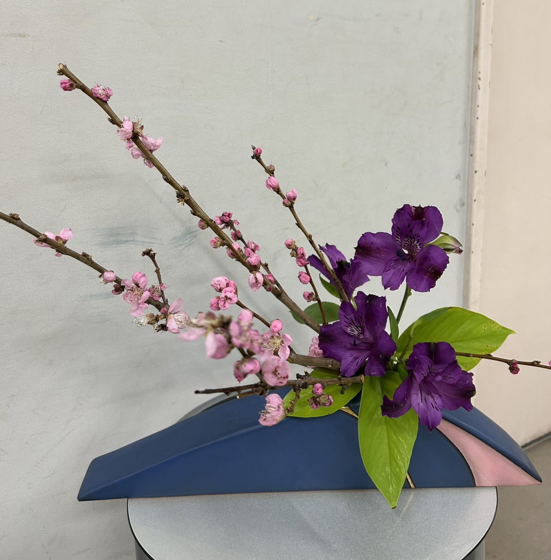 ../common/img/news/桃の花