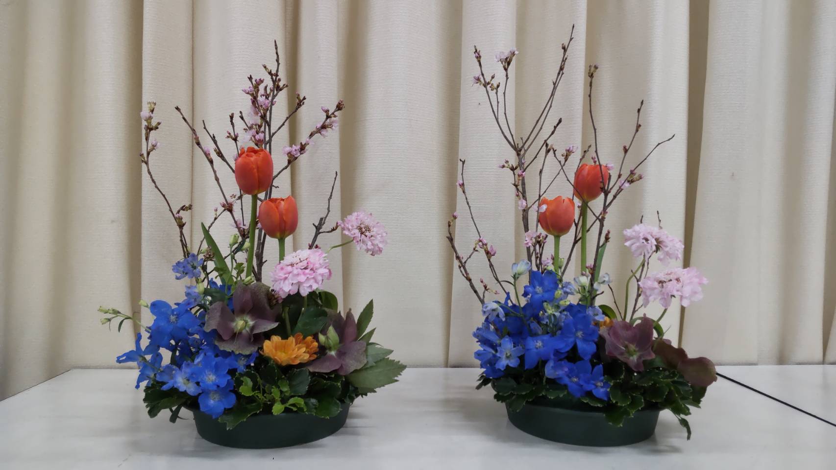 ../common/img/news/東海桜・チューリップ・スカビオサ・デルフィヌム・クリスマスローズ・ポリシヤス