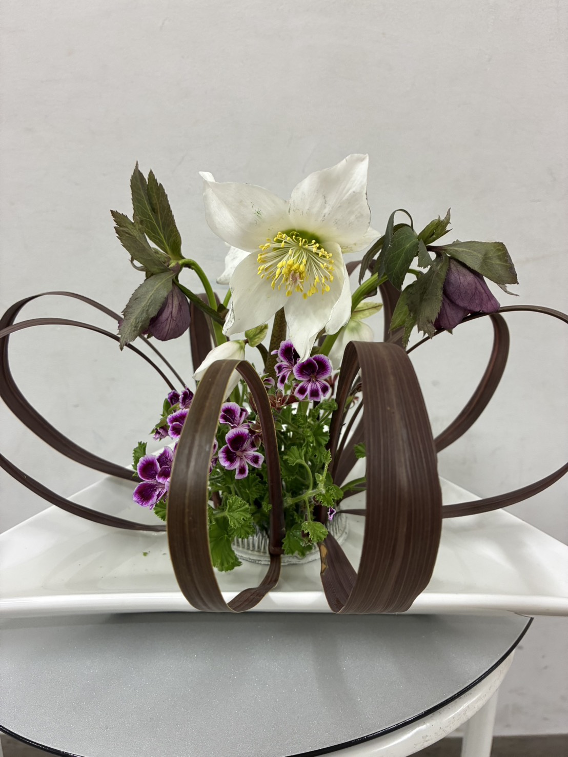 ../common/img/news/ゼラニウム・クリスマスローズ