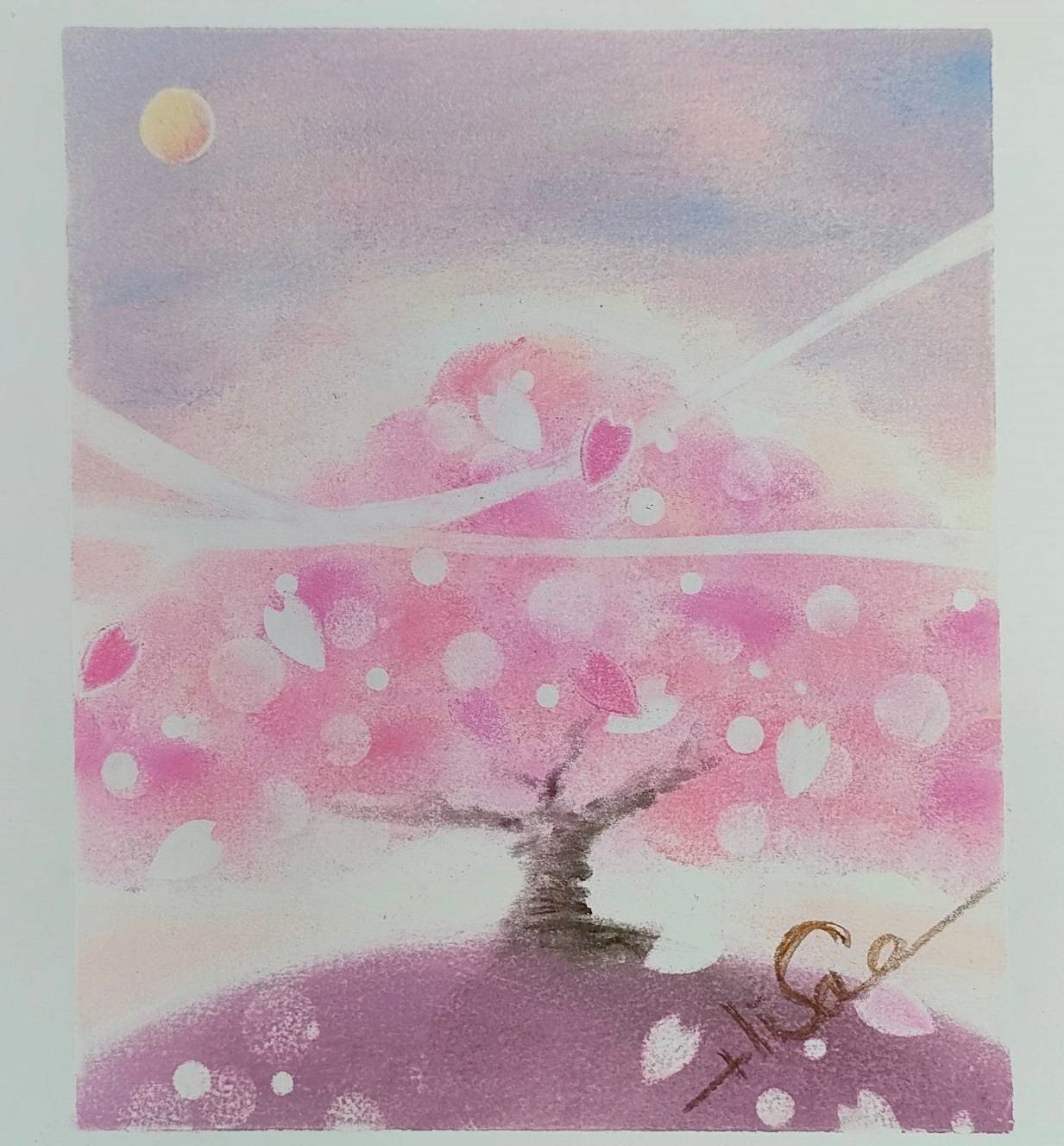 桜の木はいつ見ても素晴らしいです。